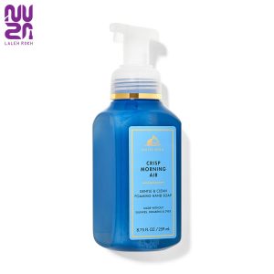 فوم شسشتوی دست رایحه هوای صبح بث اند بادی 259میل | Bath and Body Crisp Morning Air Cleansing Foam Hand Soap259ml