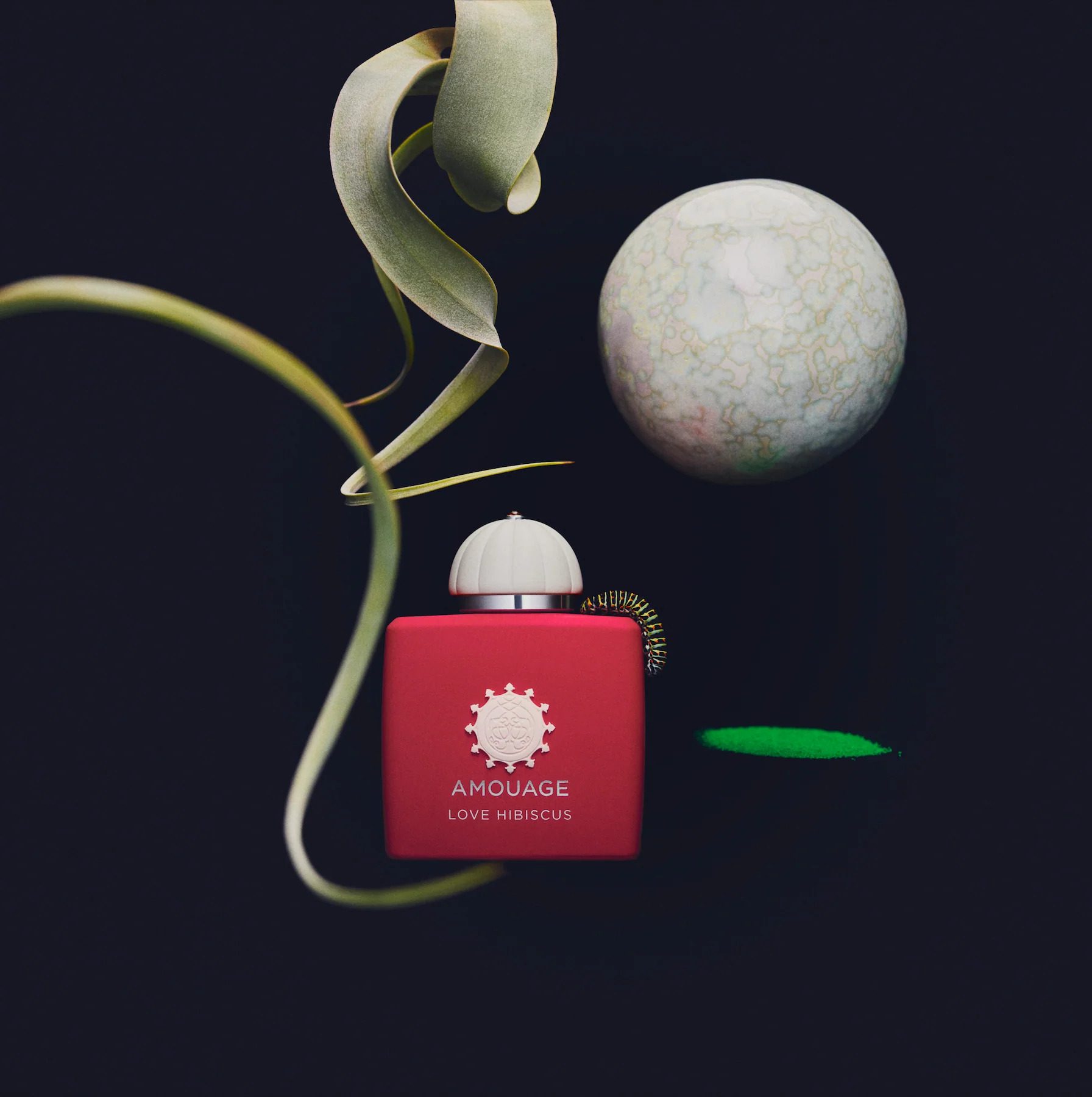 عطر زنانه آمواج مدل Love Hibiscus ادو پرفیوم حجم 100 میلی لیتر